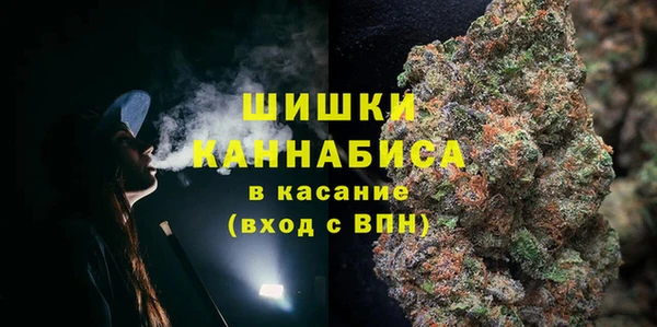 PSILOCYBIN Белоозёрский