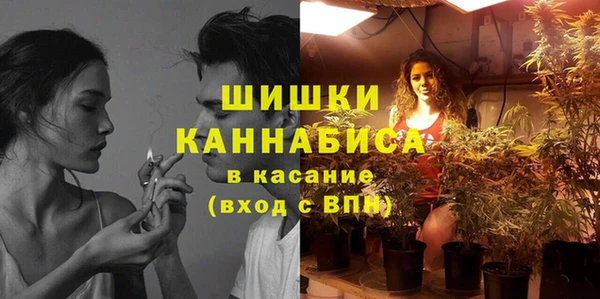 бошки Бородино